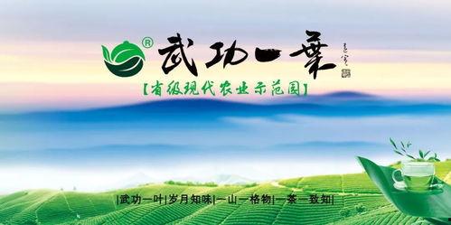 江西凤凰热点爆料新闻,揭秘当地热点事件背后的真相 第2张 江西凤凰热点爆料新闻,揭秘当地热点事件背后的真相 第2张