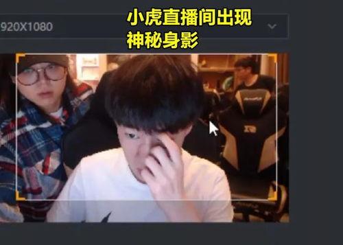 小虎淘气爆料视频播放全集,全集揭秘淘气背后的故事