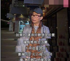 梅艳芳 二哥 爆料视频,家族往事与演艺生涯幕后真相